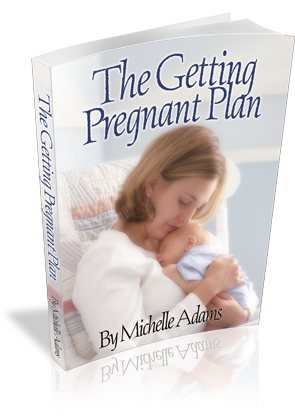 The Getting Pregnant Plan